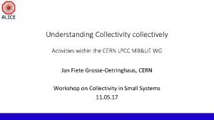 Understanding Collectivity collectively Activities within the CERN LPCC