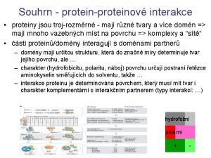 Souhrn proteinproteinov interakce proteiny jsou trojrozmrn maj rzn