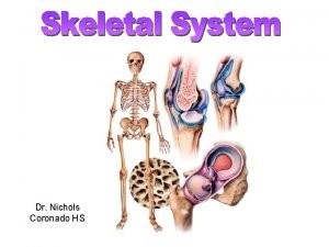 Dr Nichols Coronado HS phalangies metatarsals metatarsals phalangies