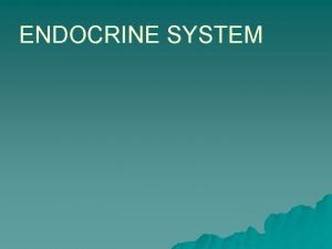 ENDOCRINE SYSTEM THYROID GLAND Thyroid hormones affect nearly