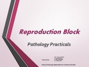 Reproduction Block Pathology Practicals Prepared by Prof Ammar