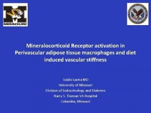 Mineralocorticoid Receptor activation in Perivascular adipose tissue macrophages