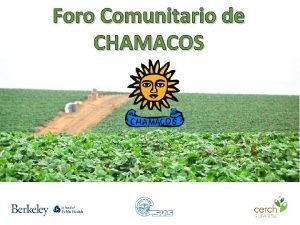 Foro Comunitario de CHAMACOS El Programa de Hoy
