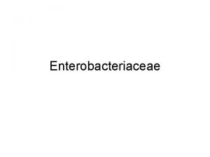 Enterobacteriace