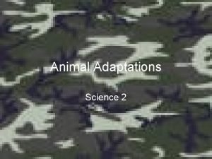 Animal Adaptations Science 2 Animals Adapt Animals can