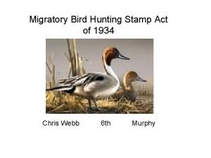 Migratory bird hunting stamp act