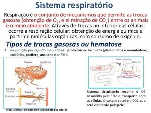 Sistema respiratrio Respirao o conjunto de mecanismos que