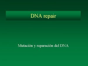 DNA repair Mutacin y reparacin del DNA Why