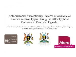 Antimicrobial Susceptibility Patterns of Salmonella enterica serovar Typhi
