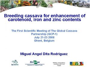 Breeding cassava for enhancement of carotenoid iron and