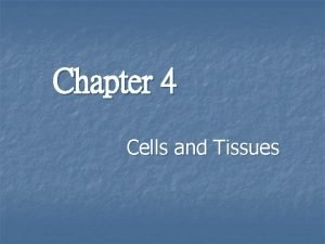 Chapter 4 Cells and Tissues Body Tissues Cells