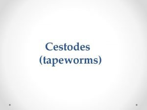 Cestodes tapeworms Subjects to be discussed Types of