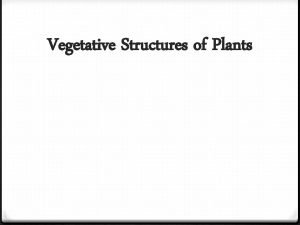 Vegetative structures of a plant