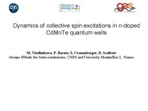 Dynamics of collective spin excitations in ndoped Cd