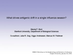 What drives antigenic drift in a single influenza