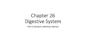 Chapter 26 Digestive System Part 2 Stomach Intestines
