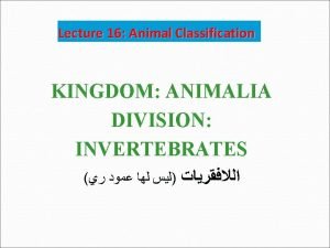 Division of kingdom animalia
