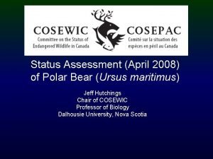Status Assessment April 2008 of Polar Bear Ursus