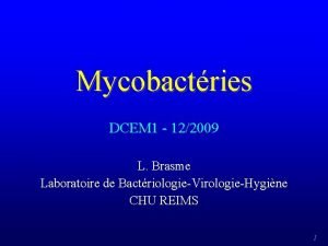 Mycobactries DCEM 1 122009 L Brasme Laboratoire de