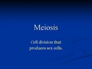 Meiosis Cell division that produces sex cells 2