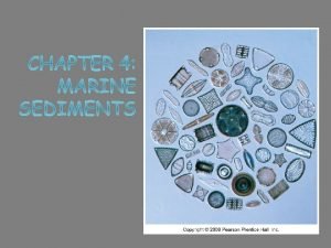 Marine sediments Eroded rock particles and fragments Transported
