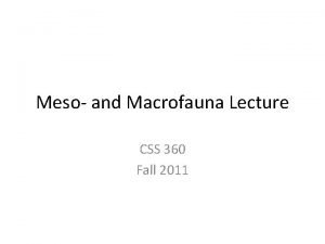 Meso and Macrofauna Lecture CSS 360 Fall 2011