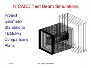 NICADD Test Beam Simulations Project Geometry Standalone TBMokka