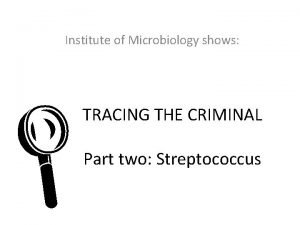 Institute of Microbiology shows L TRACING THE CRIMINAL