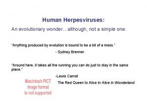 Human Herpesviruses An evolutionary wonderalthough not a simple