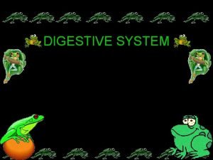 DIGESTIVE SYSTEM Digestive System of the Frog Digestive