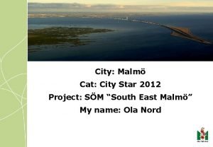 City Malm Cat City Star 2012 Project SM