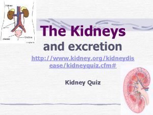 The Kidneys and excretion http www kidney orgkidneydis