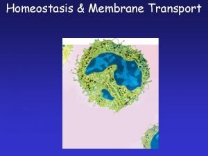 Homeostasis Membrane Transport Copyright Pearson Prentice Hall Cell