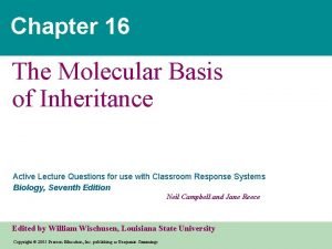 Chapter 16 The Molecular Basis of Inheritance Active