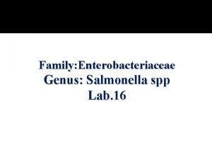 Family Enterobacteriaceae Genus Salmonella spp Lab 16 Genus