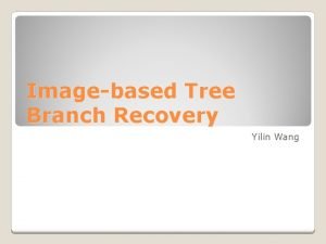 Imagebased Tree Branch Recovery Yilin Wang Rulebased using