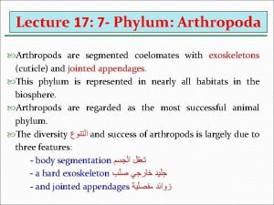 Arthropods segmentation