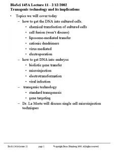 Bio Sci 145 A Lecture 11 2122002 Transgenic