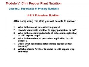 Module V Chili Pepper Plant Nutrition Lesson 2