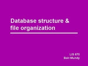 Database structure file organization LIS 670 BairMundy Electronic