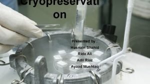 Rida ali nyu Rida ali nyu
