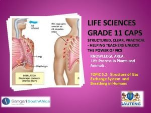 LIFE SCIENCES GRADE 11 CAPS STRUCTURED CLEAR PRACTICAL