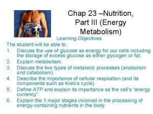 Chapter 7 a closer look energy metabolism pathways