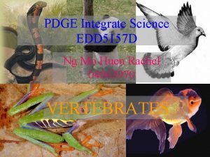 PDGE Integrate Science EDD 5157 D Ng Mo