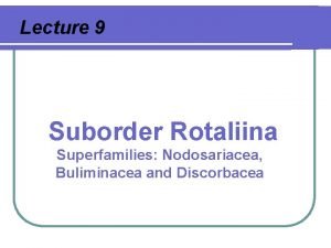 Lecture 9 Suborder Rotaliina Superfamilies Nodosariacea Buliminacea and