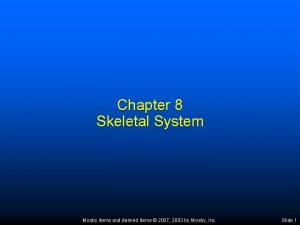 Chapter 8 skeletal system