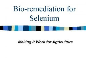 Bioremediation for Selenium Making it Work for Agriculture