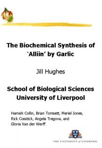 The Biochemical Synthesis of Alliin by Garlic Jill