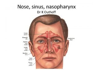 Nose sinus nasopharynx Dr K Outhoff Contents Allergic