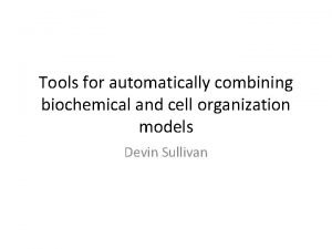 Tools for automatically combining biochemical and cell organization